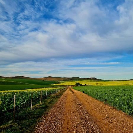 Die Blouhuis Farmhouse Retreat With A Hot Tub Cloeteskraal 外观 照片